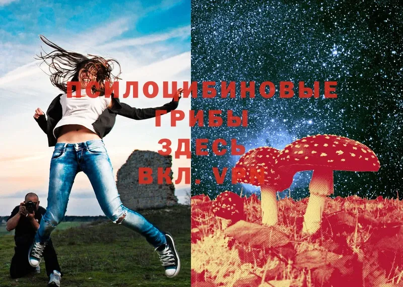 Псилоцибиновые грибы Magic Shrooms  Правдинск 